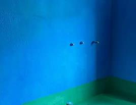 秀峰卫生间测漏水多少钱